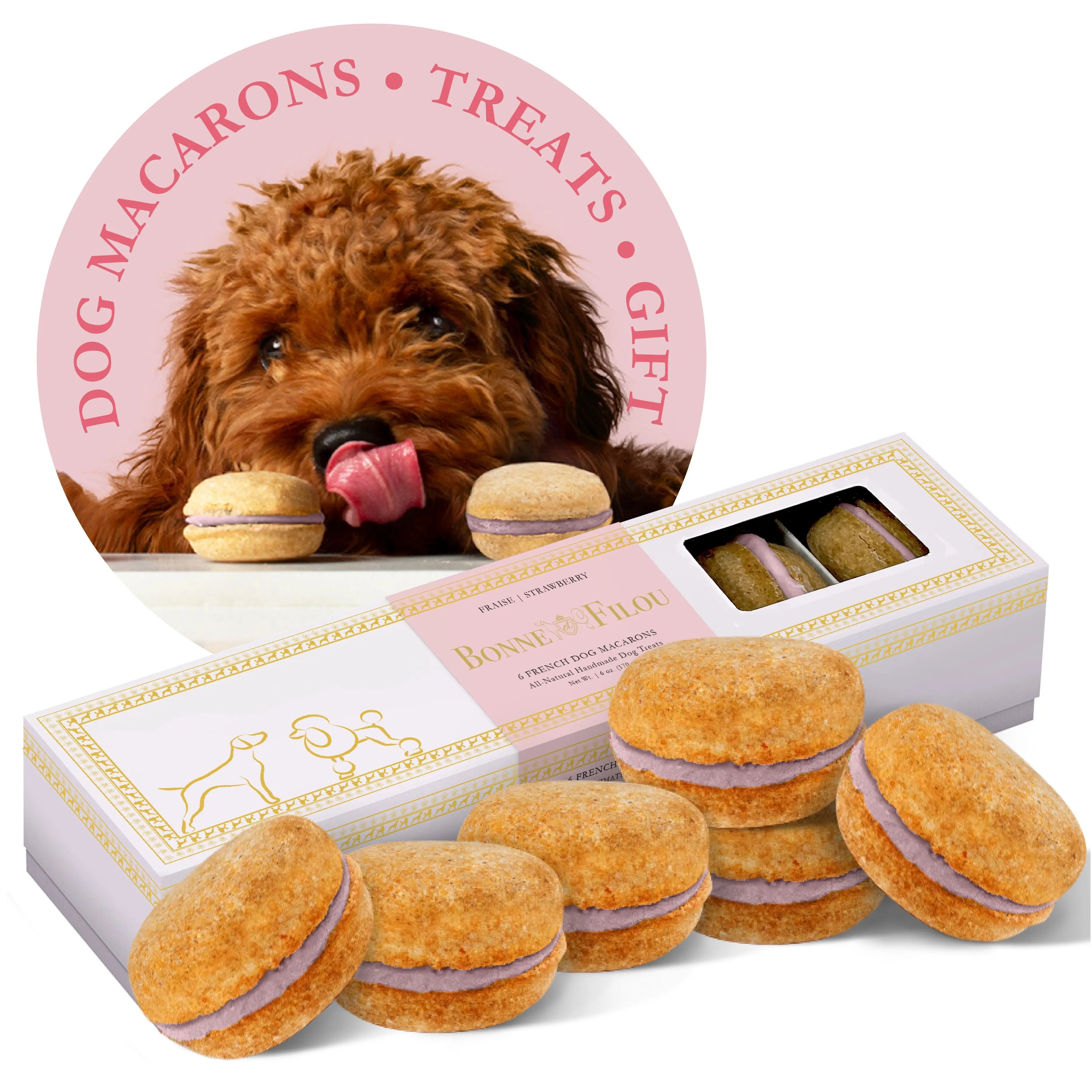 Dog macarons with their presentation box and a dog